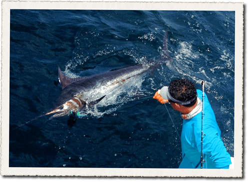 Fishing for Marlin in Costa Rica